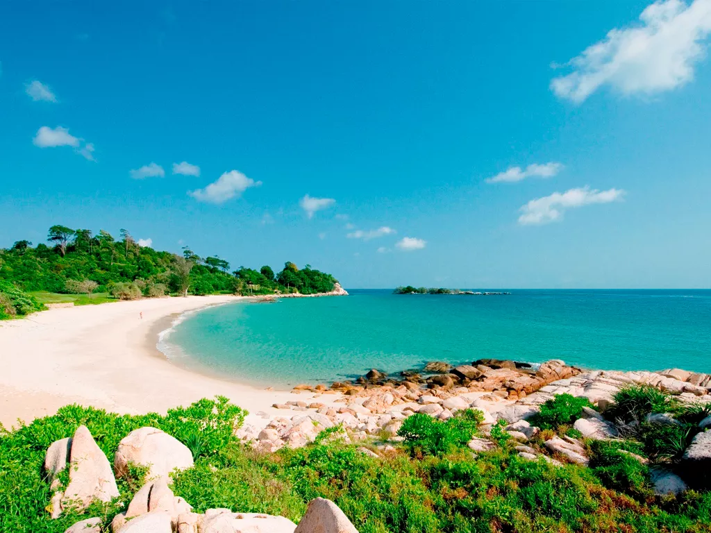 Pemandangan Pantai Sakera Bintan dengan pasir putih dan pohon kelapa di tepi laut, destinasi wisata keluarga yang bisa dijangkau dengan layanan sewa mobil ke Pantai Sakera dari ARJ Rentcar